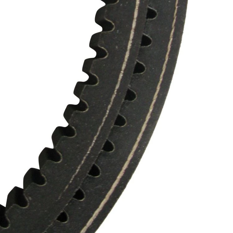 Raw Edge Cogged V Belts